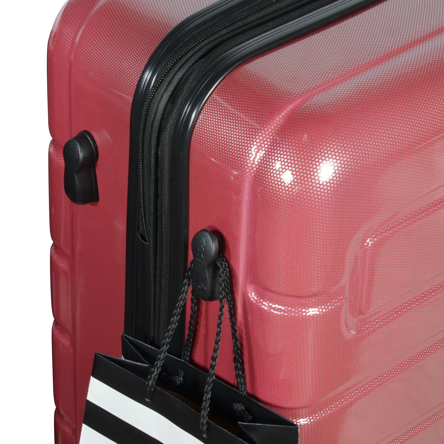 Nema 25" Expandable Carry-On