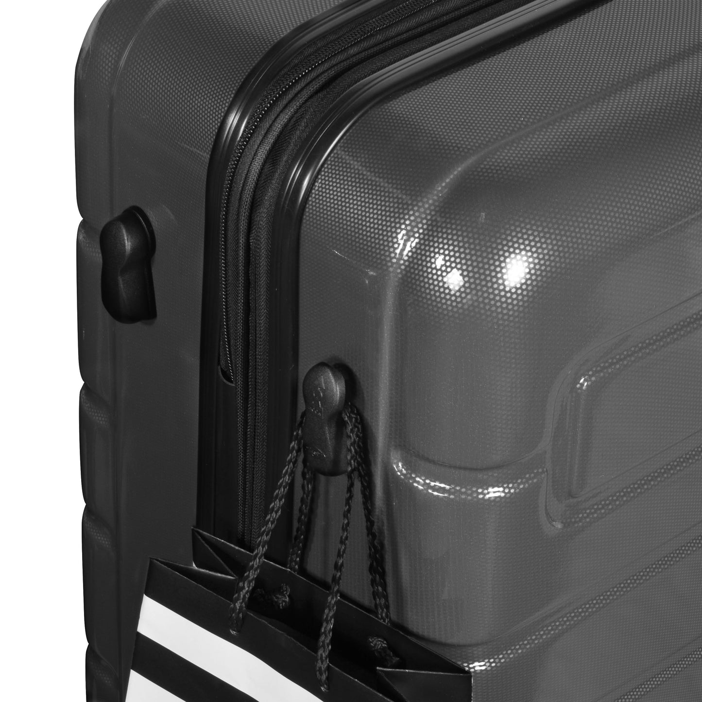 Nema 25" Expandable Carry-On