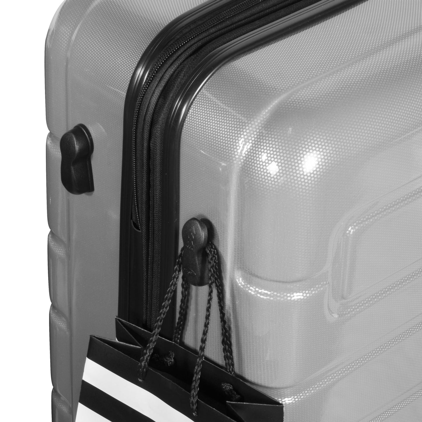 Nema 25" Expandable Carry-On